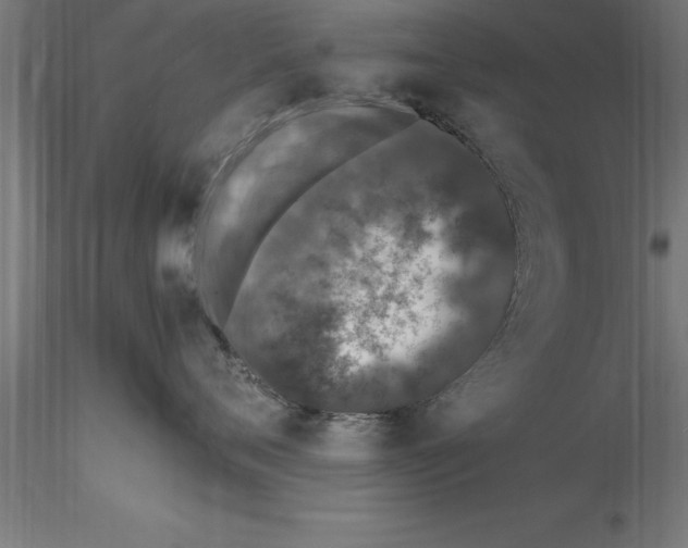 X0000115280720200912111226