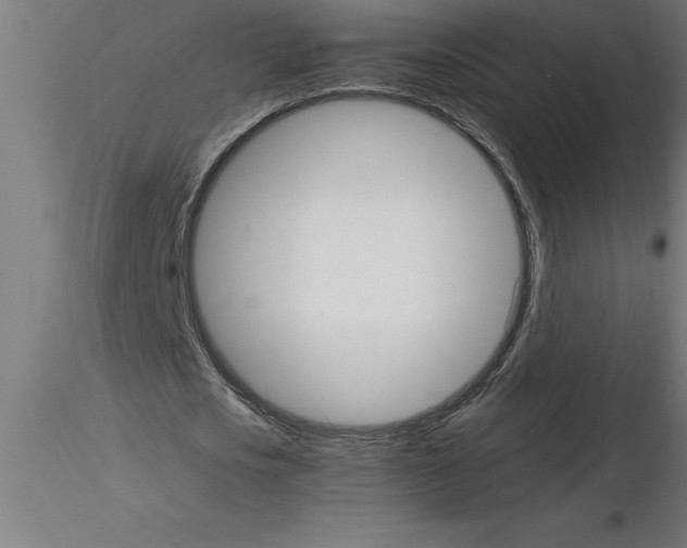 X0000115280721200912111225