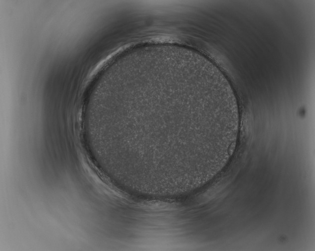 X0000115280722200912111225