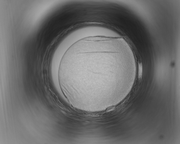 X0000115280723200912111225