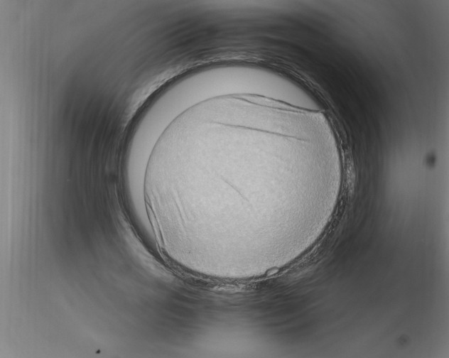 X0000115280725200912111225