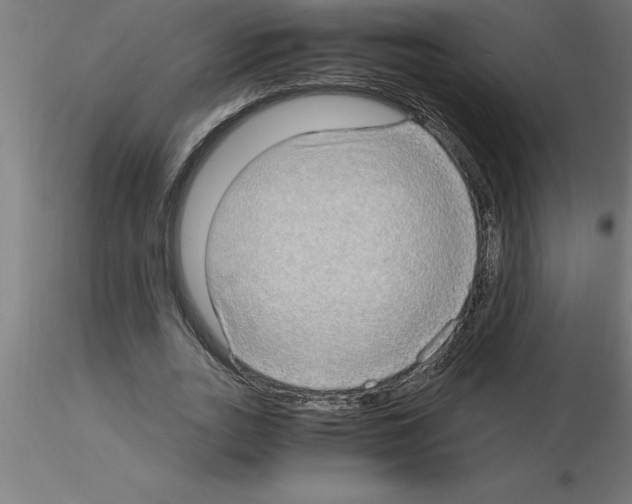 X0000115280727200912111225