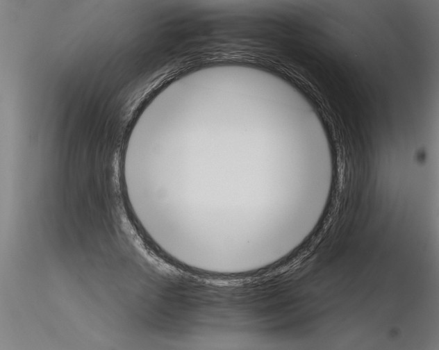 X0000115280729200912111225