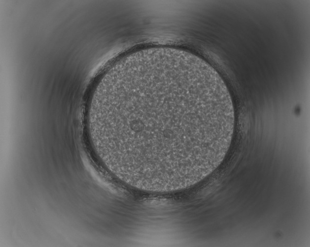 X0000115280730200912111225