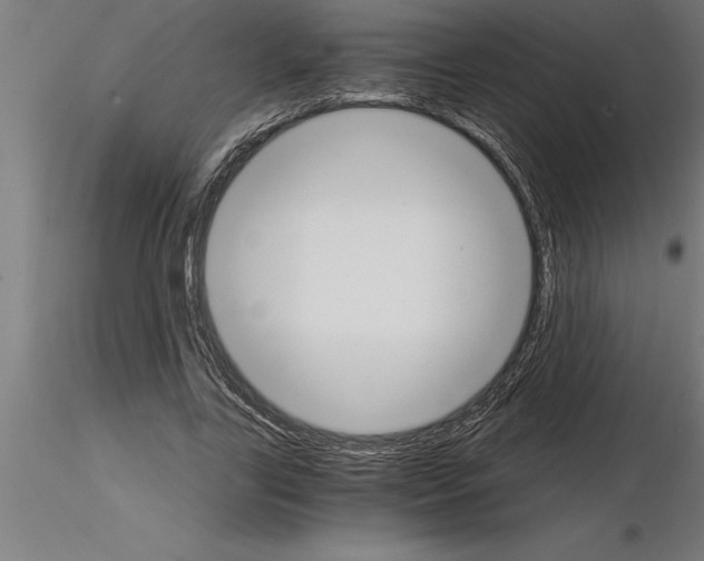 X0000115280731200912111225