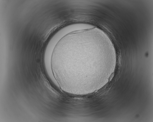 X0000115280733200912111225