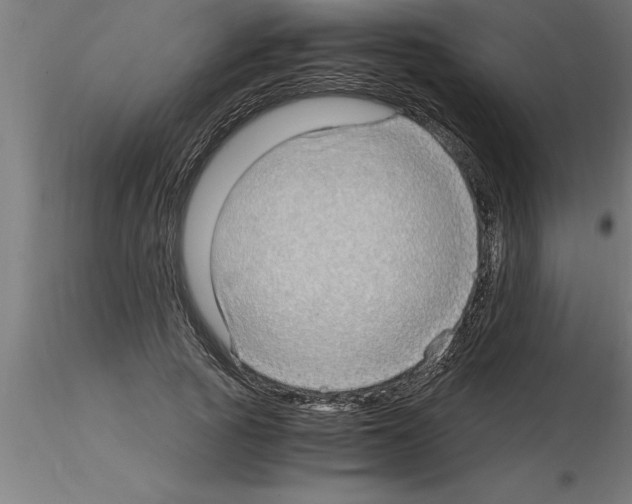 X0000115280737200912111225