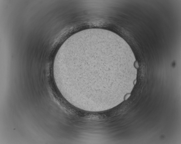 X0000115280738200912111225