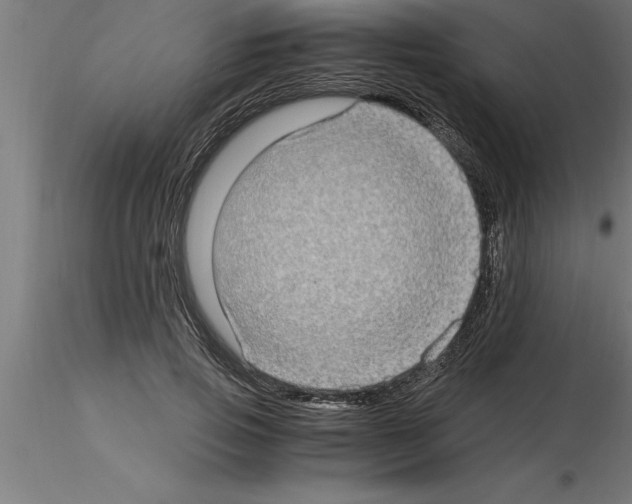 X0000115280741200912111226