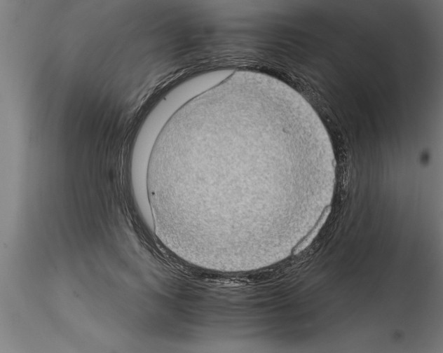 X0000115280743200912111226