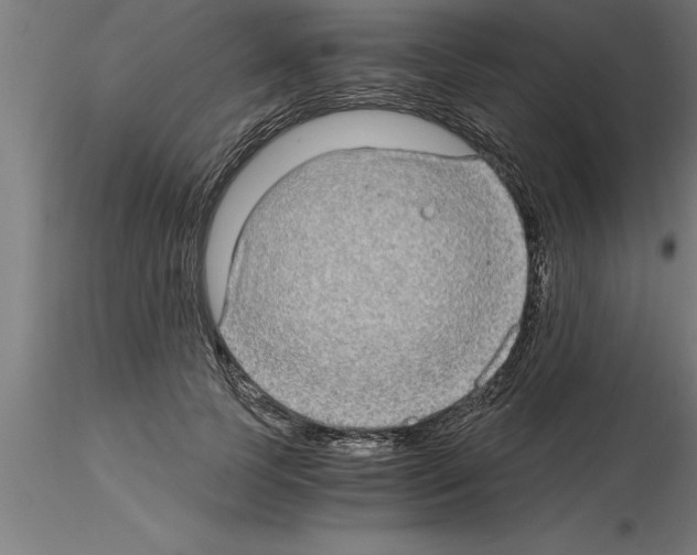 X0000115280745200912111226