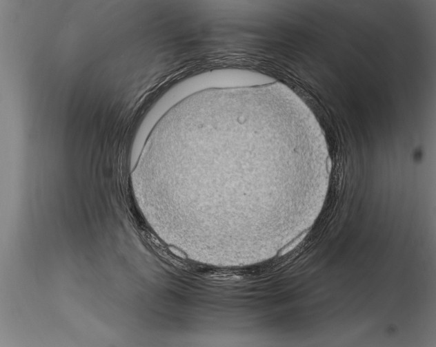 X0000115280747200912111226