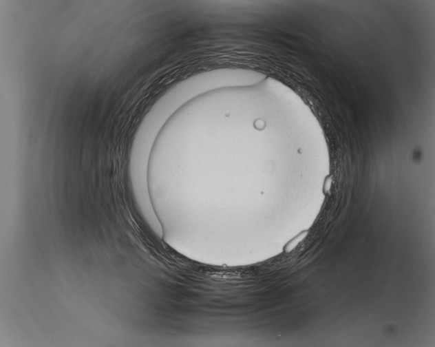 X0000115280749200912111226