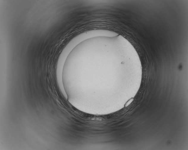 X0000115280751200912111226