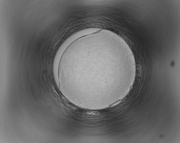 X0000115280753200912111226