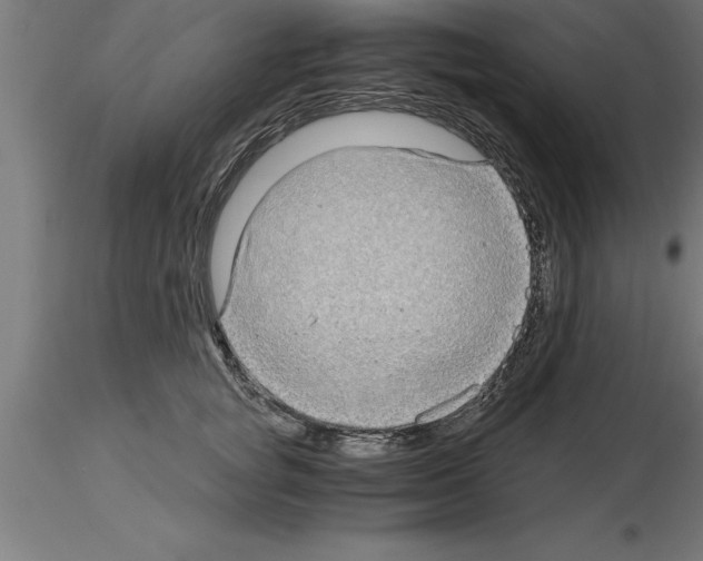 X0000115280757200912111226