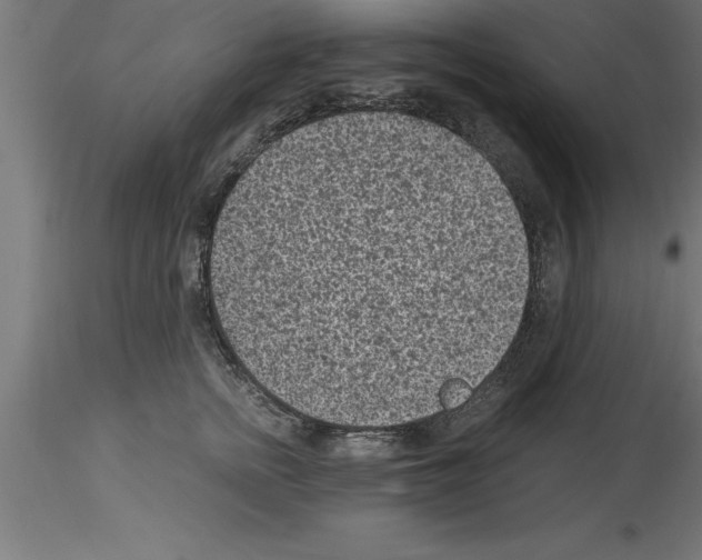 X0000115280758200912111226