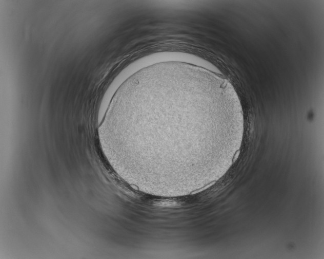 X0000115280759200912111226