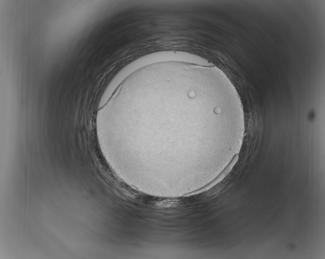 X0000115280761200912111226