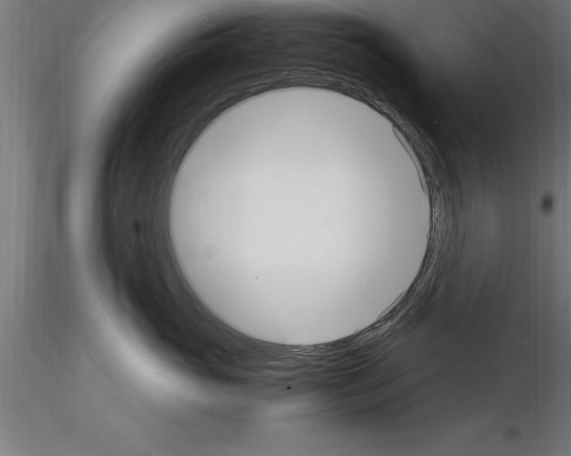 X0000115280765200912111226