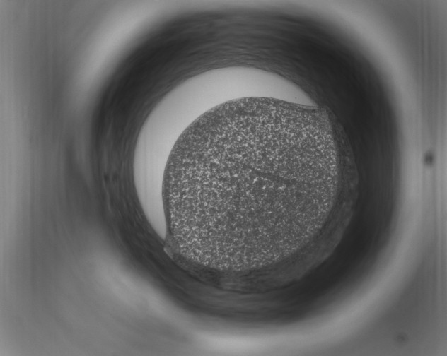 X0000115280766200912111226