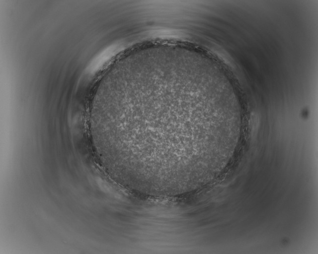 X0000115280775200912111225