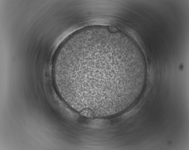 X0000115280779200912111225