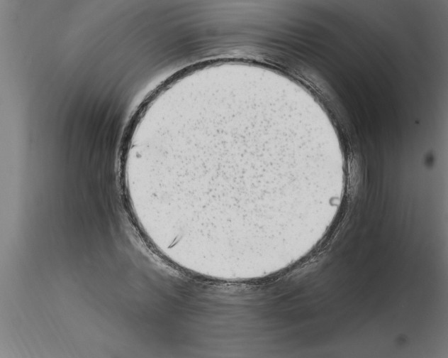 X0000115280780200912111225