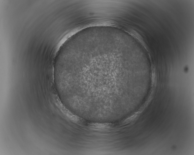 X0000115280781200912111225