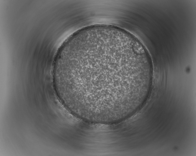 X0000115280783200912111225