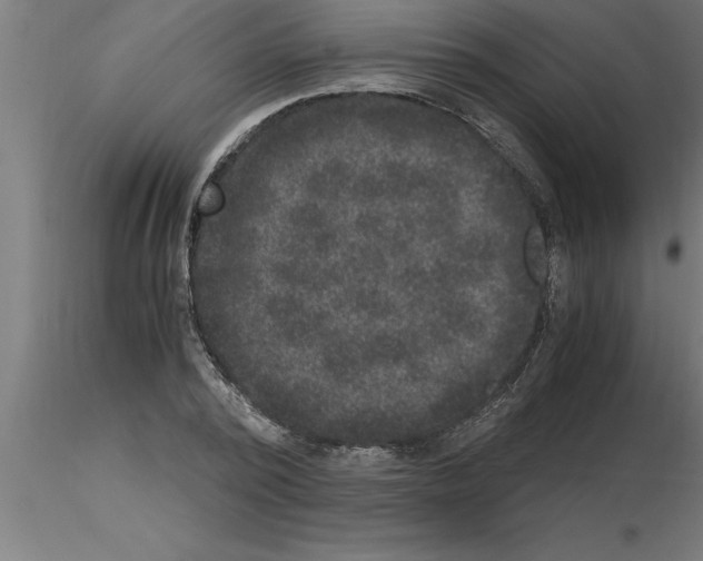 X0000115280784200912111225