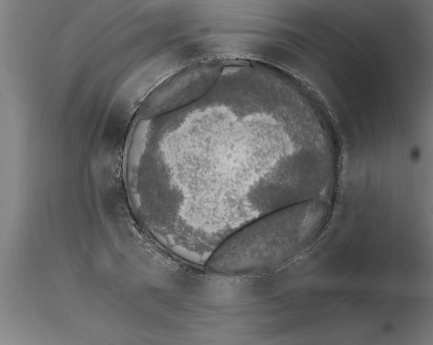 X0000115280785200912111225