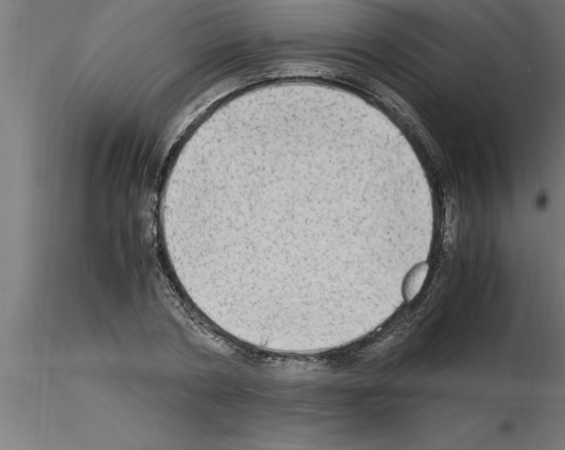 X0000115280786200912111225