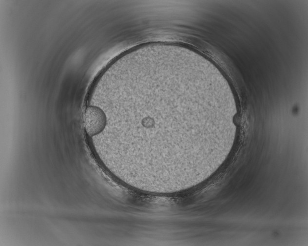 X0000115280787200912111225