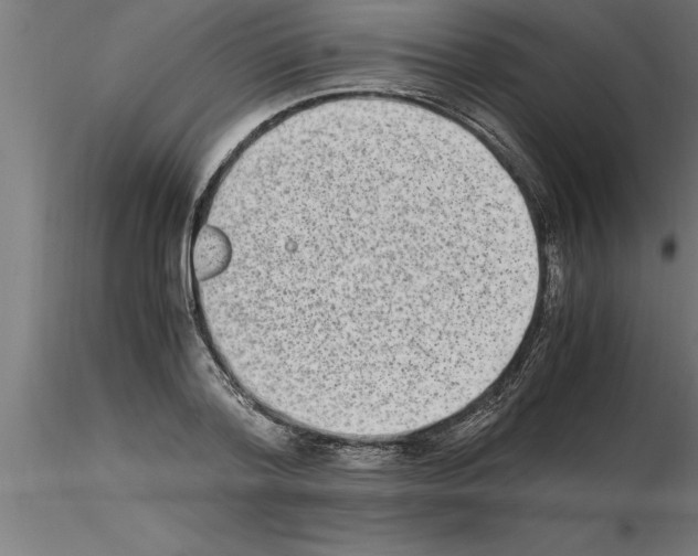 X0000115280788200912111225