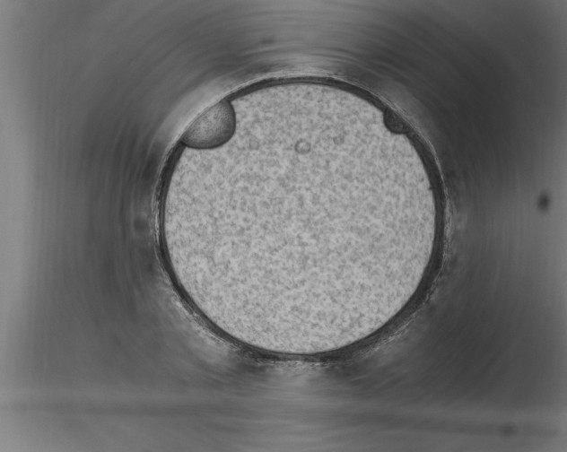 X0000115280789200912111225