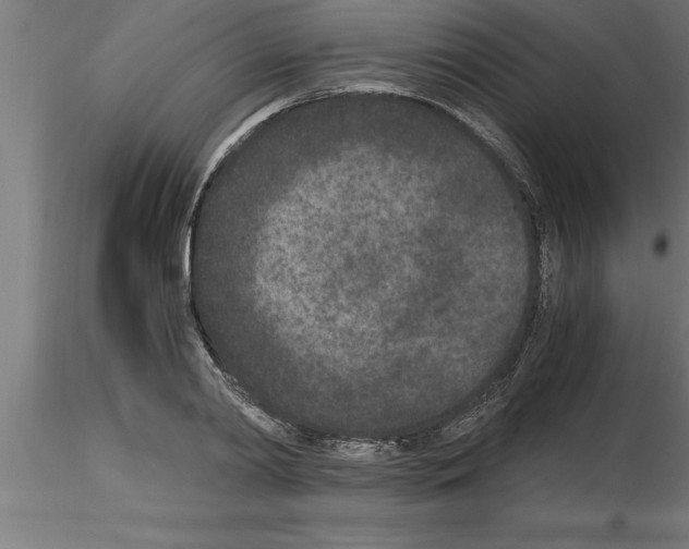 X0000115280790200912111225