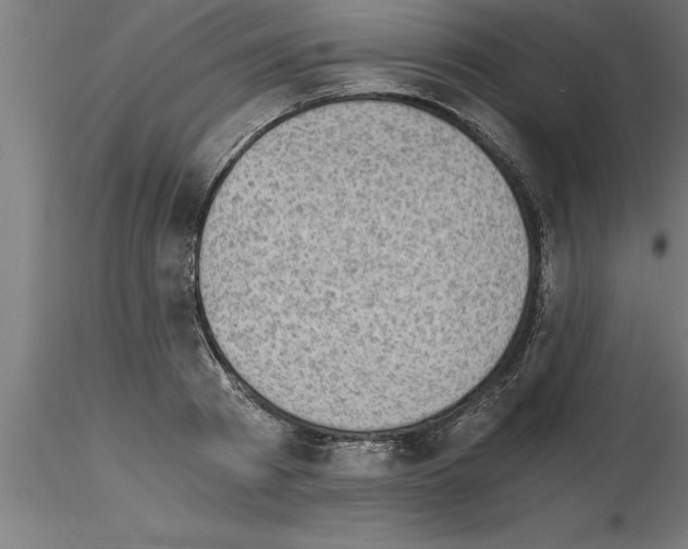 X0000115280793200912111225