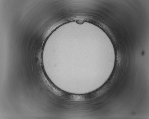 X0000115280794200912111225