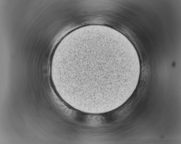 X0000115280795200912111225