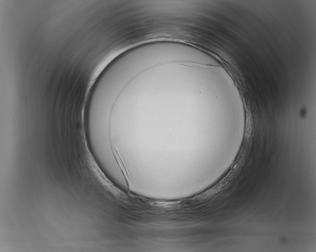 X0000115280796200912111225