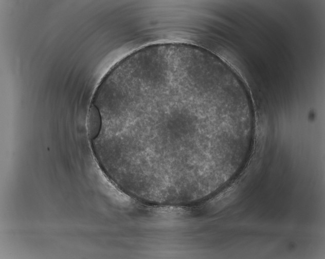 X0000115280797200912111225