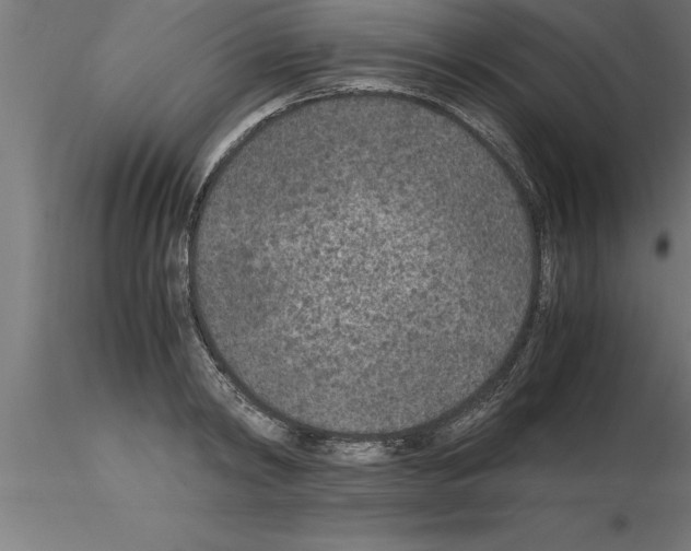 X0000115280798200912111225