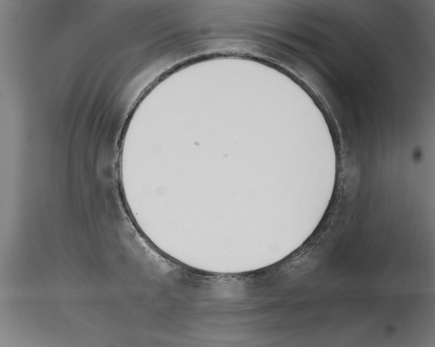 X0000115280799200912111225