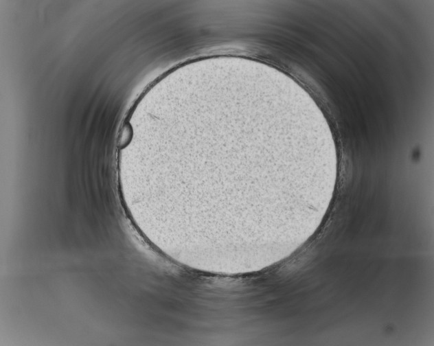 X0000115280800200912111225