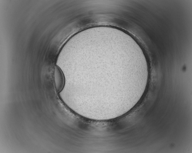 X0000115280801200912111225