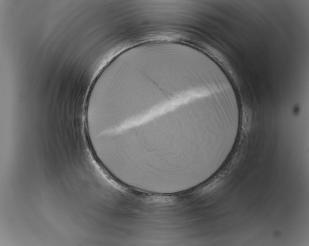 X0000115280802200912111225