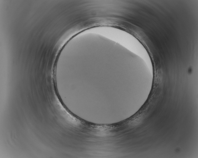 X0000115280803200912111225