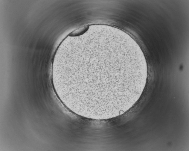 X0000115280804200912111225