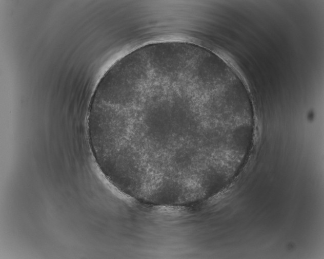 X0000115280805200912111225